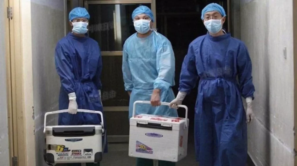 Các bác sĩ đang mang theo thùng nội tạng tươi phục vụ cho việc cấy ghép, ảnh chụp ngày 16/08/2012 tại bệnh viện tỉnh Hà Nam, Trung Quốc