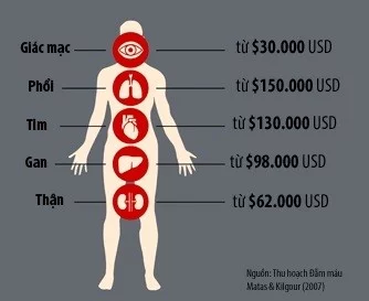 
Giá cả các cơ quan nội tạng cơ thể người tại Trung Quốc.