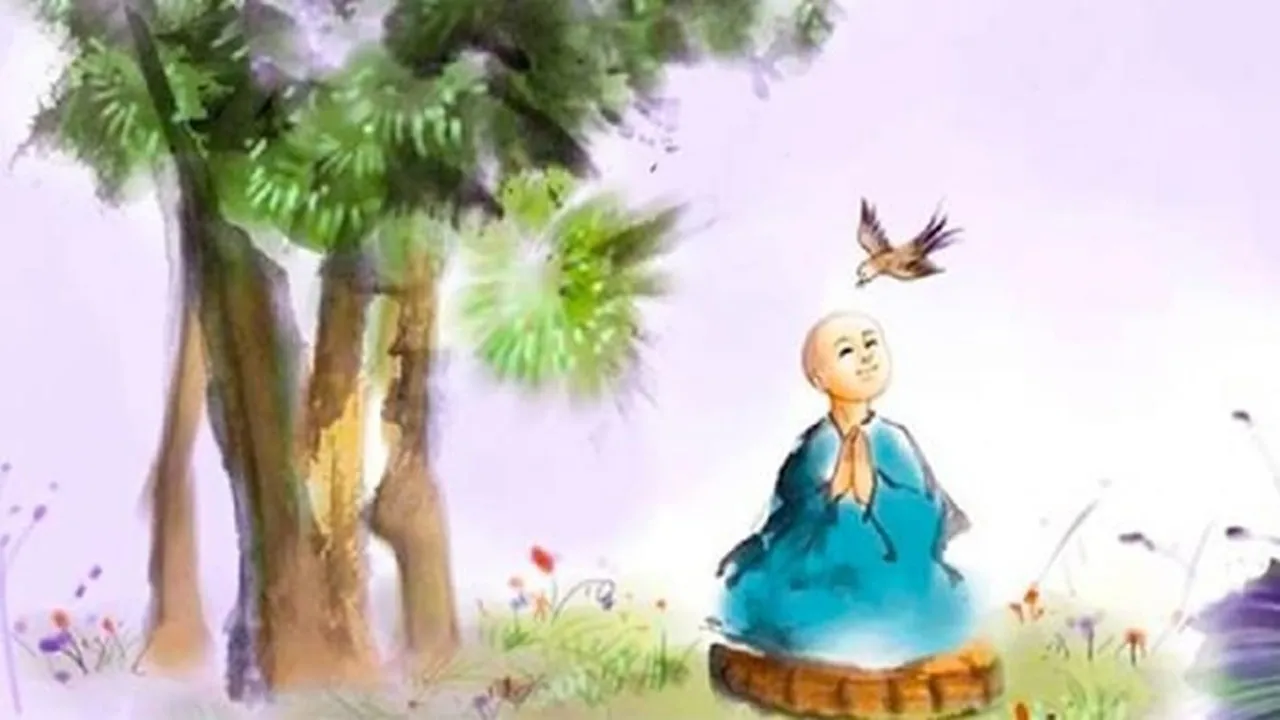 Bao tri thien luong