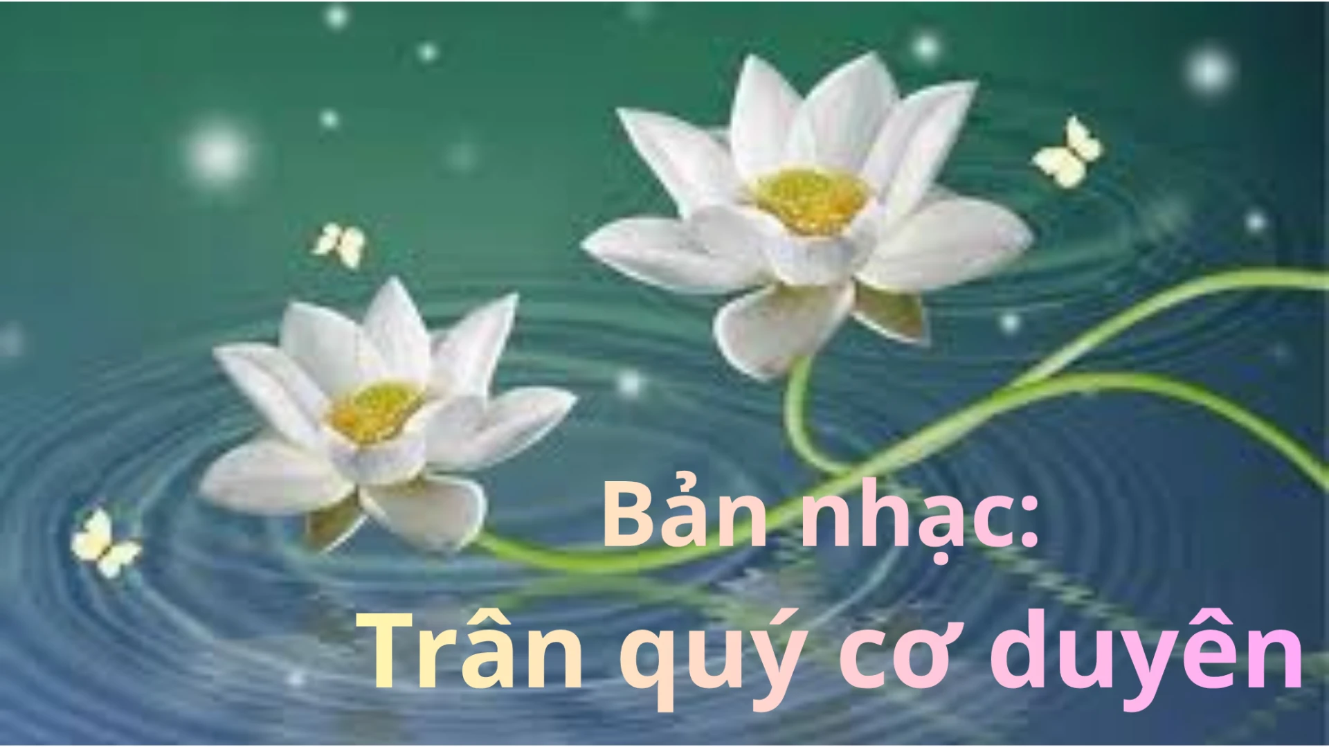 Bản nhạc: Trân quý cơ duyên