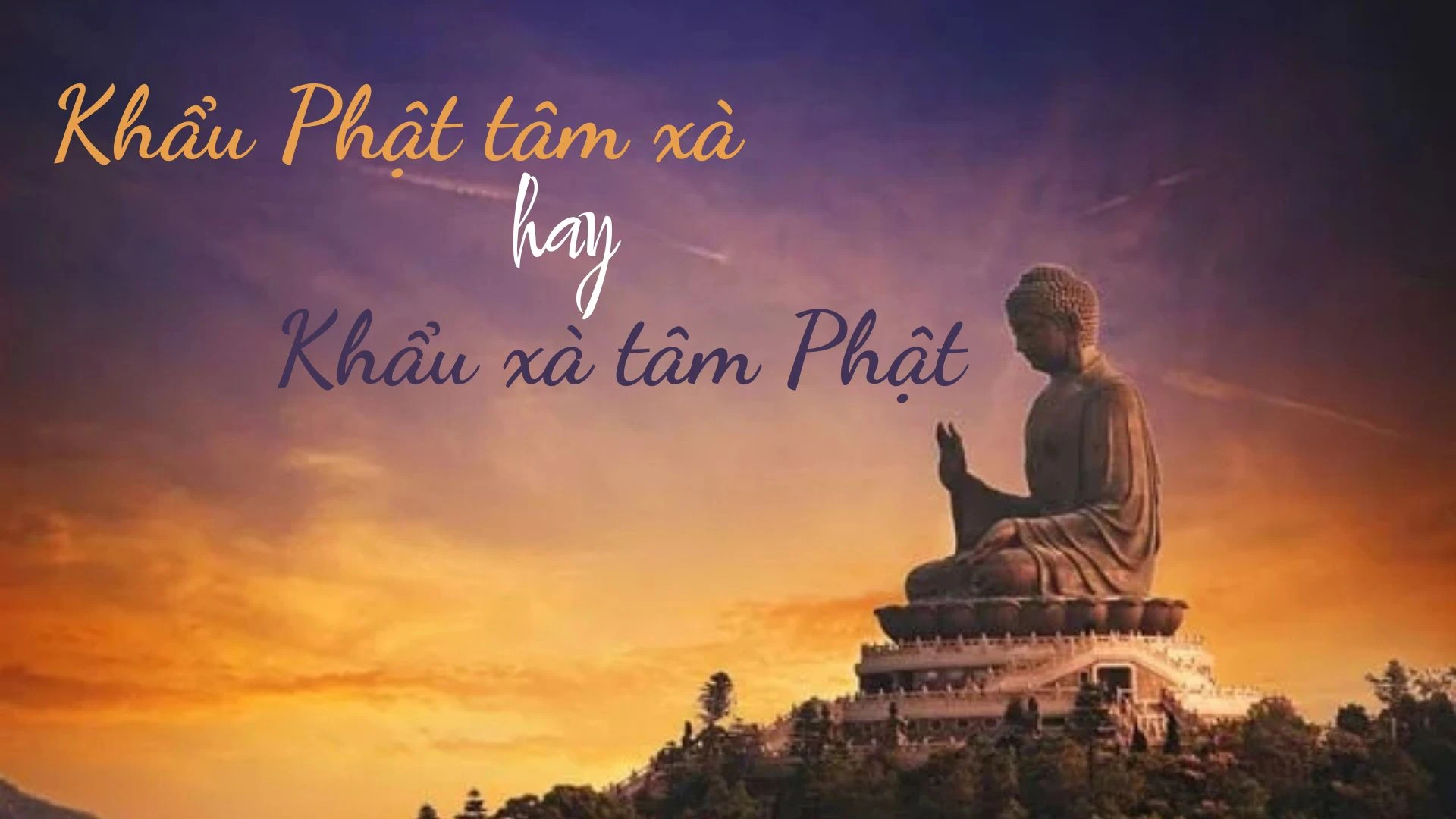Thật sự có Khẩu xà tâm Phật và Khẩu Phật tâm xà không?