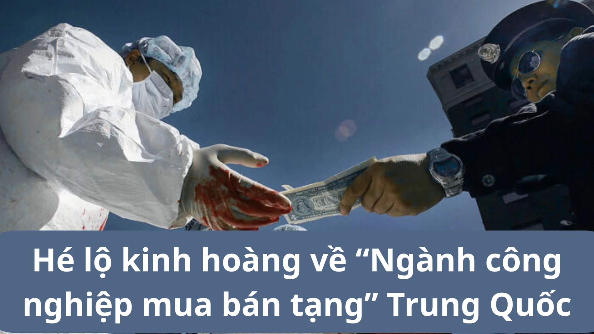 Nhà nghiên cứu hé lộ kinh hoàng về “Ngành công nghiệp mua bán tạng” Trung Quốc