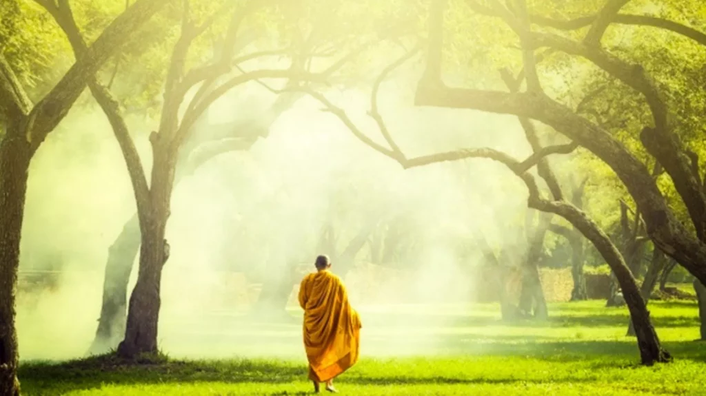 Trong quá trình tu hành, dù phải chịu bao nhiêu khổ nạn đi nữa, thì cũng không thể mượn cớ để dừng giữa chừng.